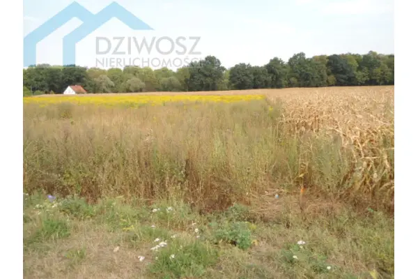 Wrocławski, Sobótka, Mirosławice, Działka budowlana tylko 6km od Sobótki