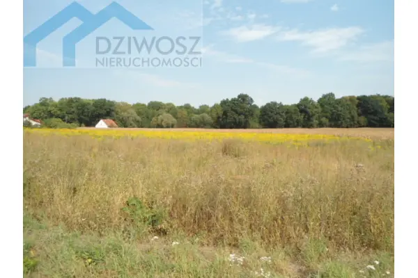 Wrocławski, Sobótka, Mirosławice, Działka budowlana tylko 6km od Sobótki