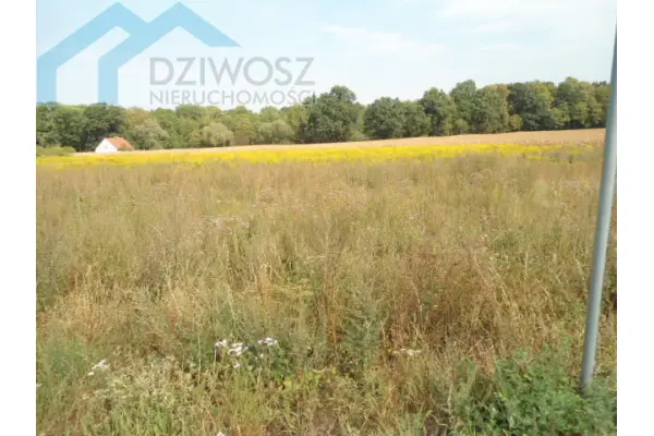 Mirosławice, Sobótka, Działka na sprzedaż